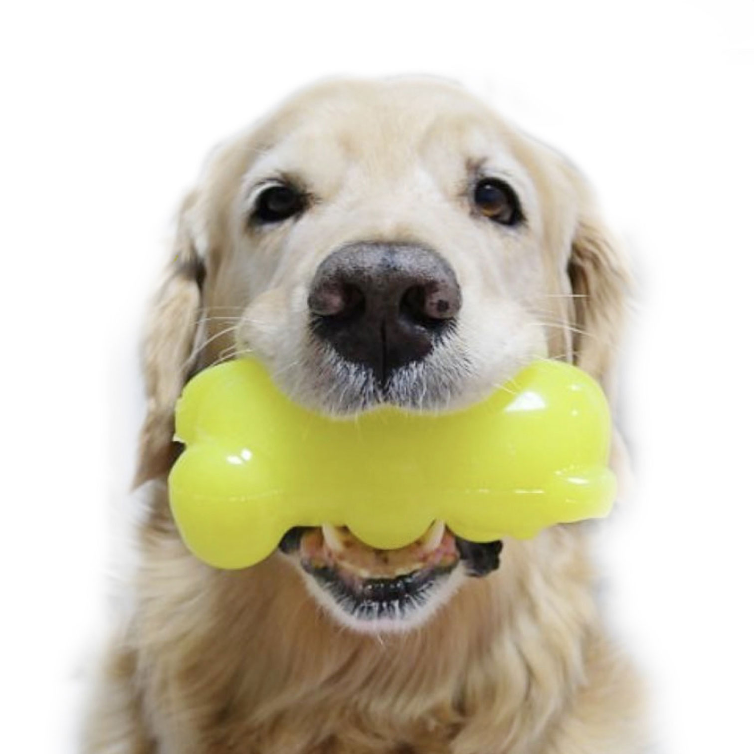 Ruff-dawg-GummyBear-2